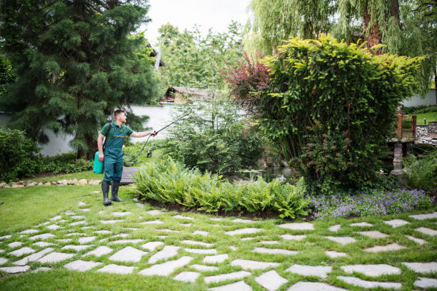 Best Affordable Pest Control Services  in East Foothills, CA