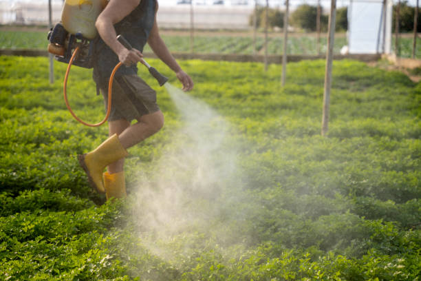 Best Pest Prevention Services  in East Foothills, CA