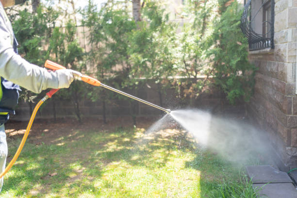 Best Exterminator Services  in East Foothills, CA