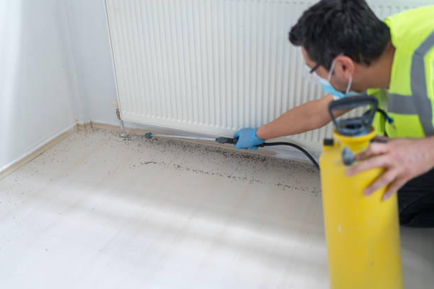 Best Pest Control for Businesses  in East Foothills, CA